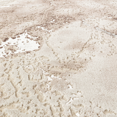 Covor Eterna Fauda Crem/Bej Living, Dormitor, Modern